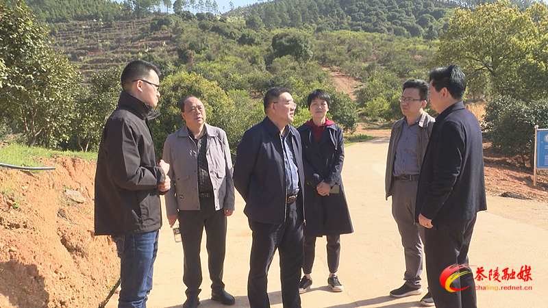 Still0315_00000_副本.bmp Still0315_00000_副本.bmp