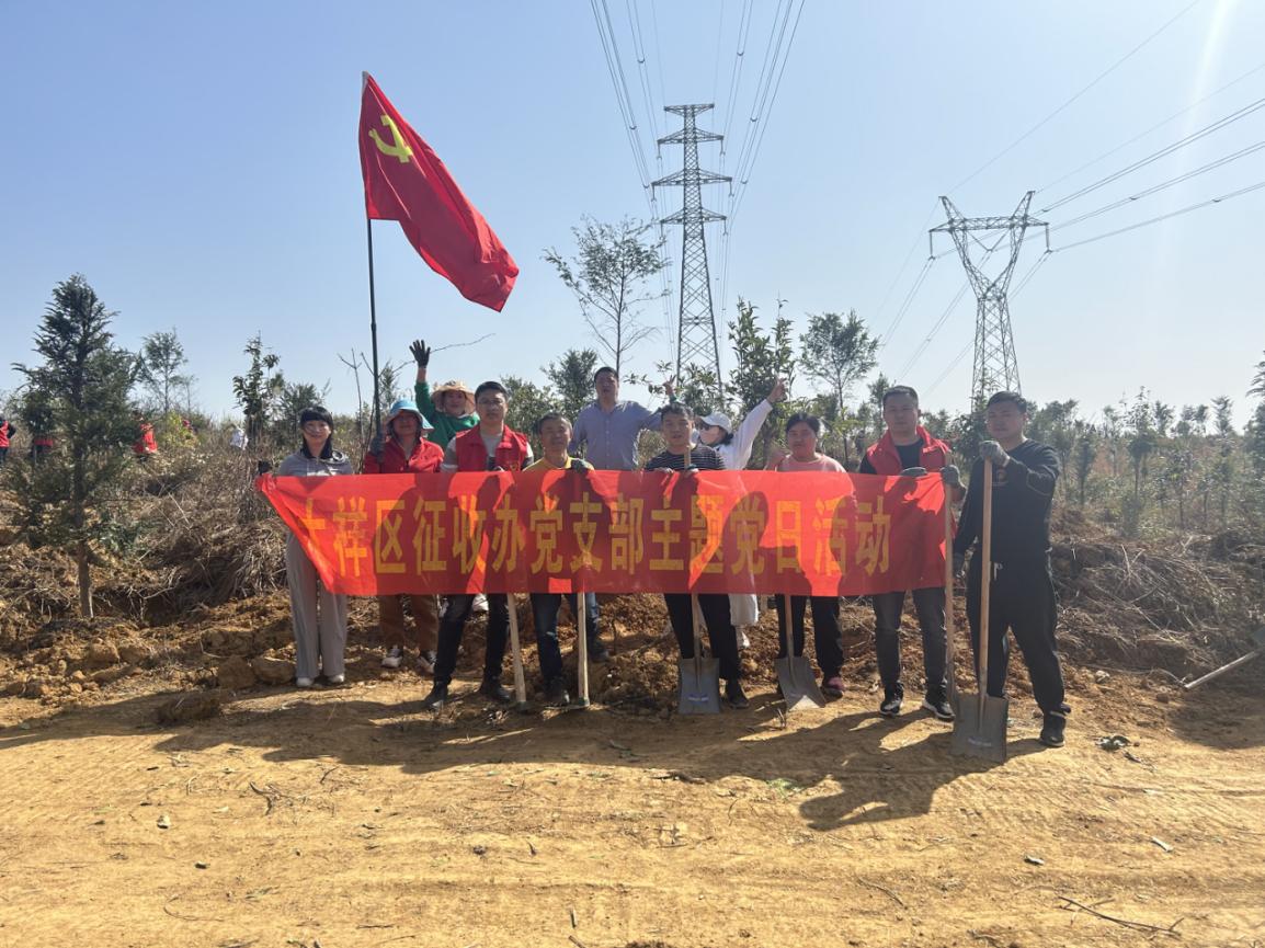 征收办开展义务植树主题党日活动_邵阳头条网