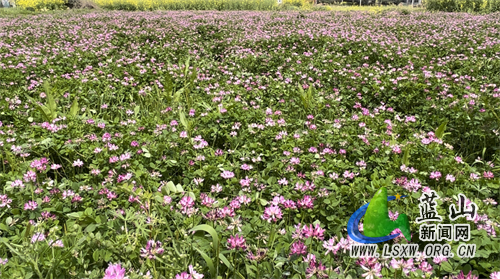 微信图片_202303161116552.jpg 微信图片_202303161116552.jpg