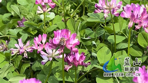 微信图片_202303161116551.jpg 微信图片_202303161116551.jpg