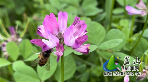 微信图片_20230316111655.jpg 微信图片_20230316111655.jpg