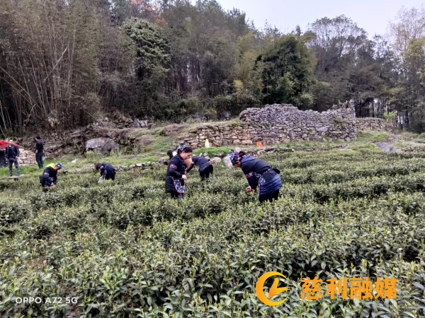 图片1_副本.png