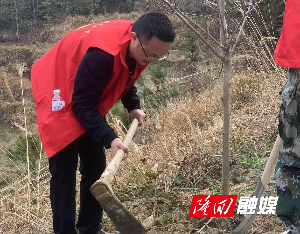 书记植树.jpg 书记植树.jpg