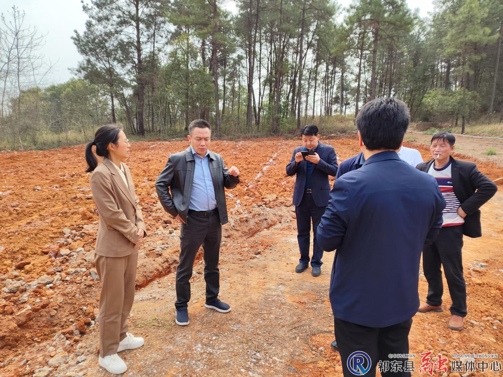 w_图片1.png w_图片1.png