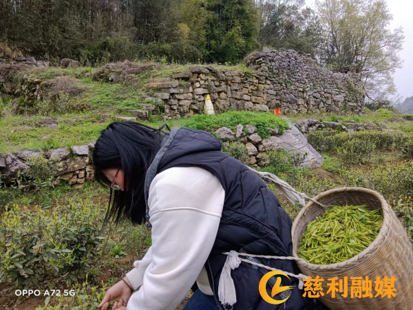 图片2_副本.png
