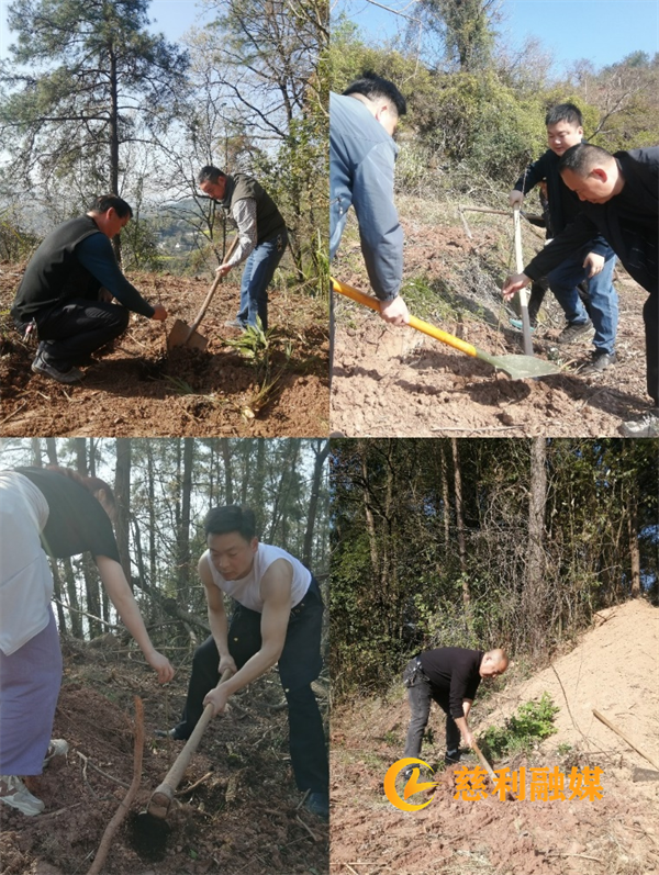 图片3.png 图片3.png