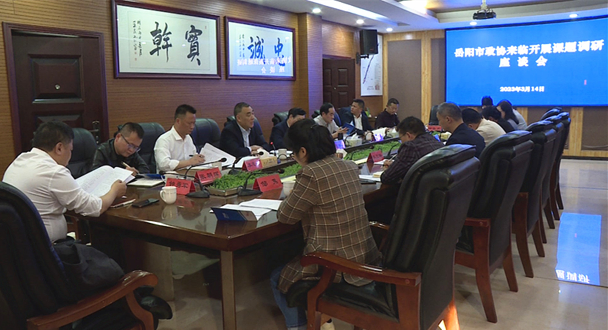 3.15岳阳政协010_副本.jpg
