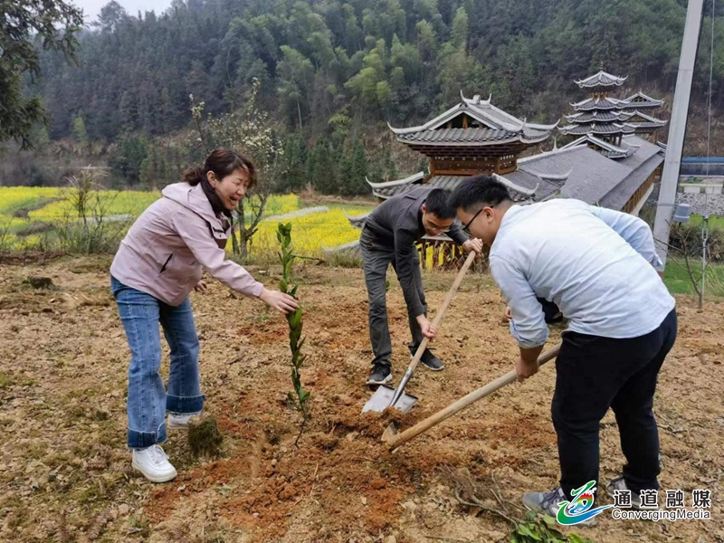 图片3.jpg 图片3.jpg