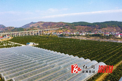图片5(1)(1).png
