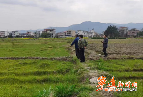 宁远：“人机结合”让毒品原植物无处遁形_副本500.jpg