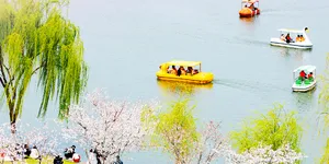 一组海报带你感受春天里的中国