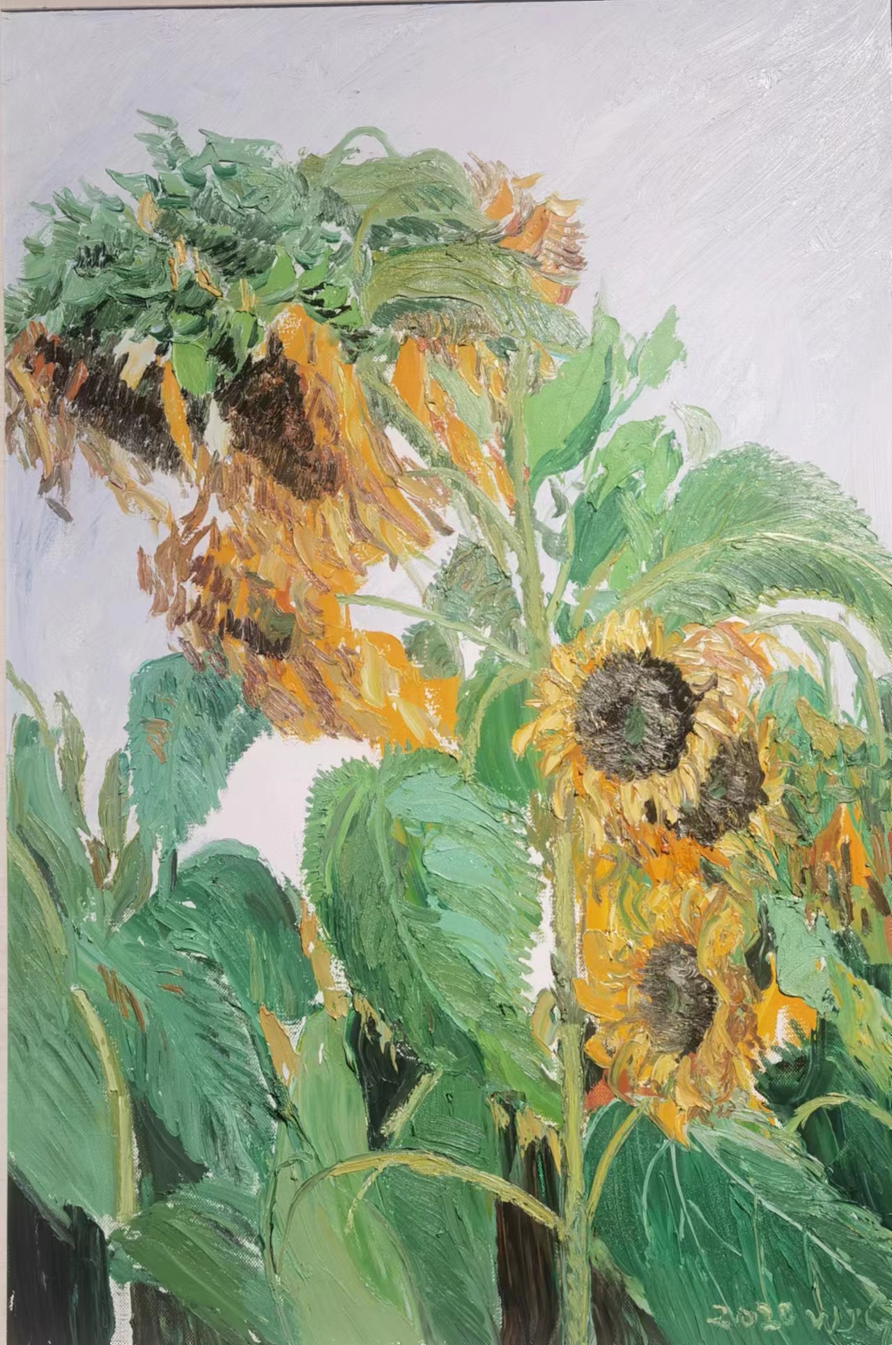 微信图片_20230321090743.jpg 微信图片_20230321090743.jpg