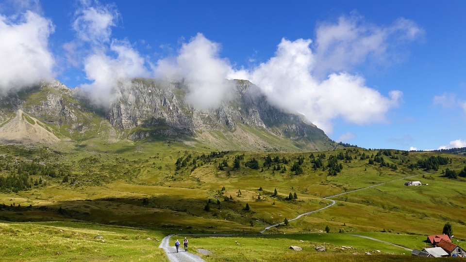 nature-6644498_960_720.jpg