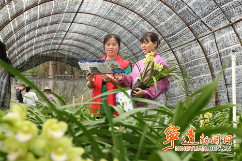 宁远：田间地头“话”禁毒_副本500.jpg
