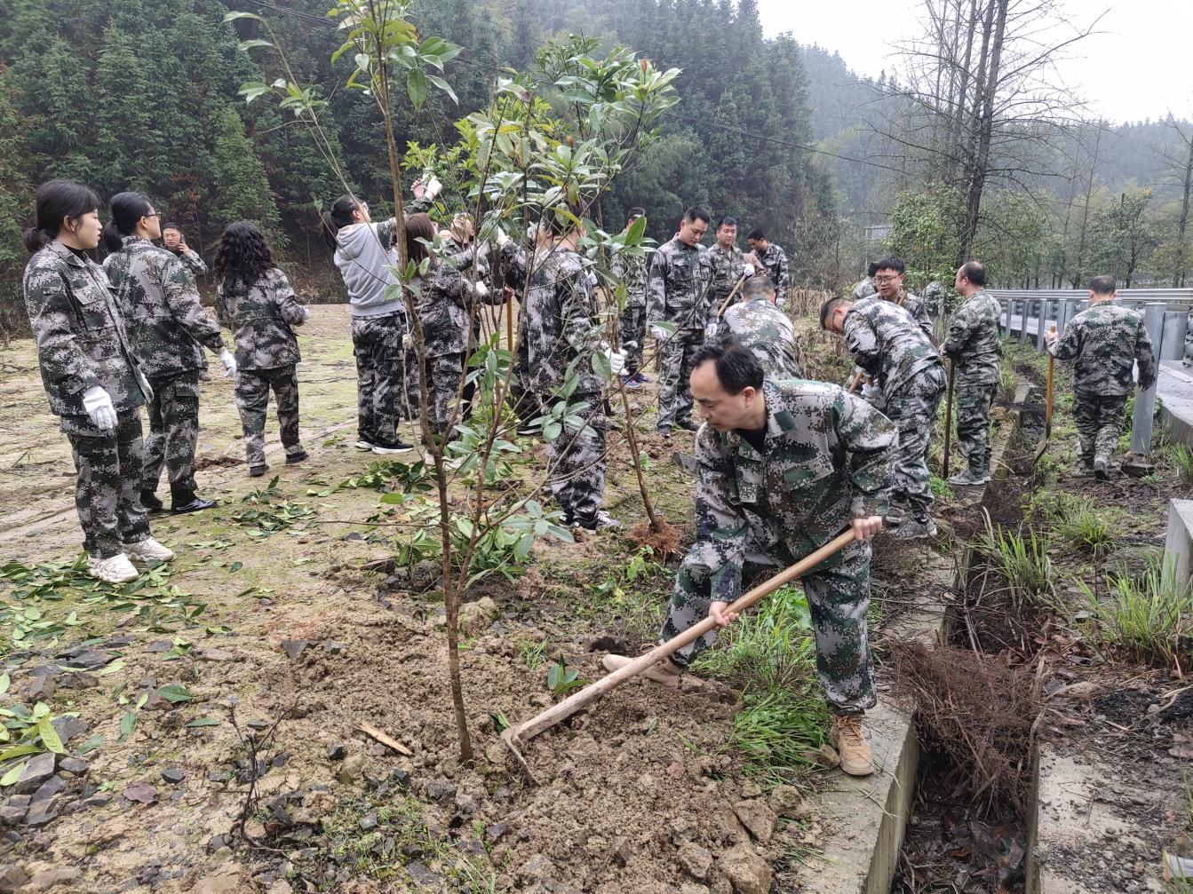 图片6.jpg