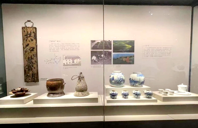 石门茶文物“亮相”湖南博物院2.jpg