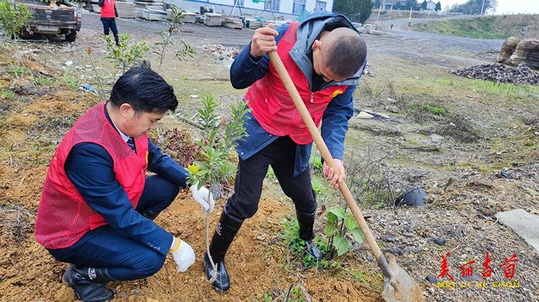 学雷锋 兴龙公司开展义务植树活动4.jpg