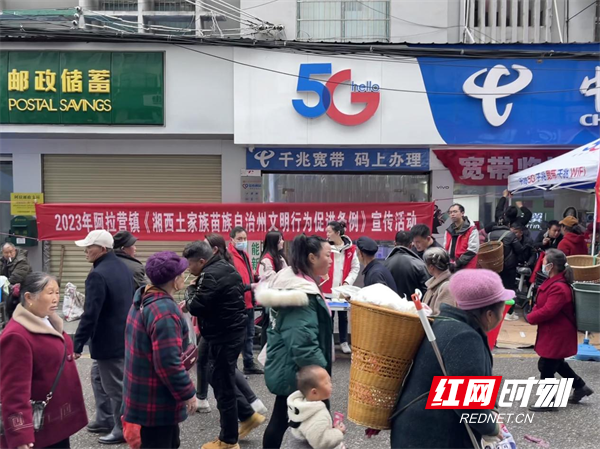图片33.png