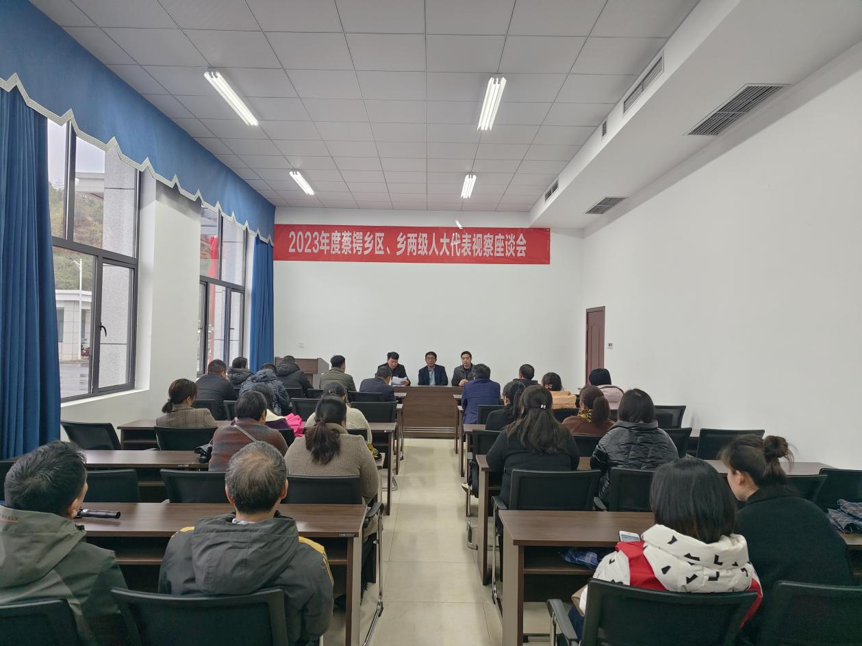 蔡锷乡开展2023年度人大代表视察活动_邵阳头条网