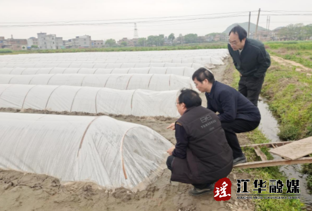 微信截图_20230325184708.png