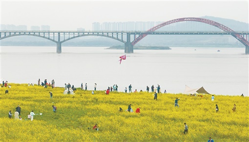 People Enjoy Spring Outings in Changsha