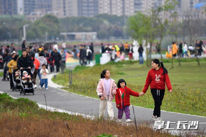 今日下午，马栏山鸭嘴公园亲子活动广场内，孩子们在家长的陪伴下嬉戏玩闹。 均为长沙晚报全媒体记者王志伟摄