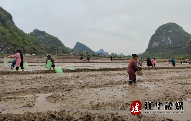 微信截图_20230328164528.png