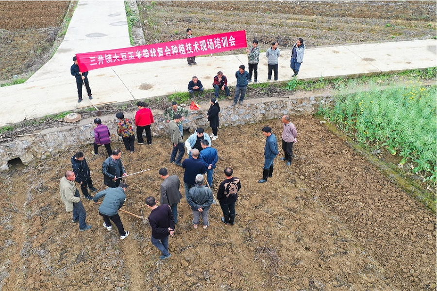 大豆玉米1.png