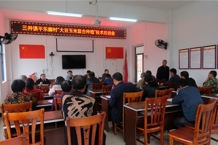 大豆玉米2.png