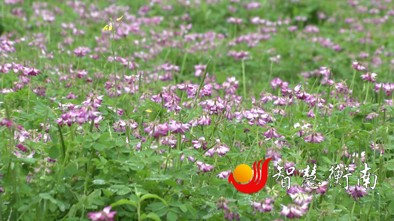 c24b27e54b29a9b0276aa1123c20985.png