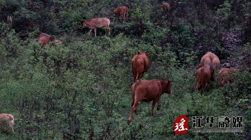 微信截图_20230330085412.png