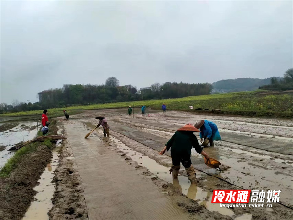 微信图片_20230330113633.jpg