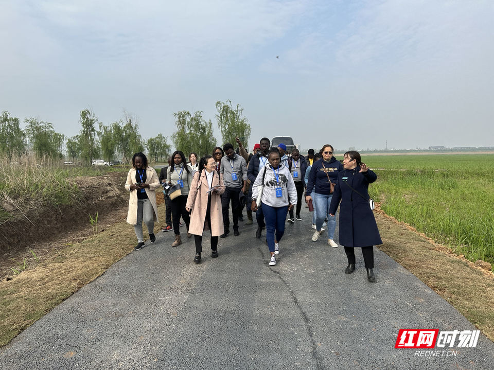 马拉维记者：洞庭湖和马拉维湖很像 保护生态环境是各国的共同责任.jpg