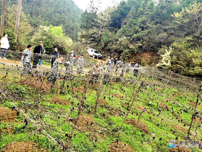 6501b649c2af697eab6b4297ee4a49b.jpg 6501b649c2af697eab6b4297ee4a49b.jpg