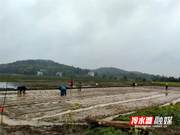 微信图片_20230330113447.jpg