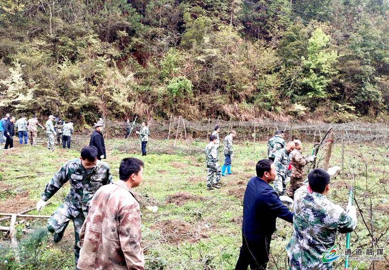 01e2208957084ec40cc1b5dcbc14491.jpg 01e2208957084ec40cc1b5dcbc14491.jpg