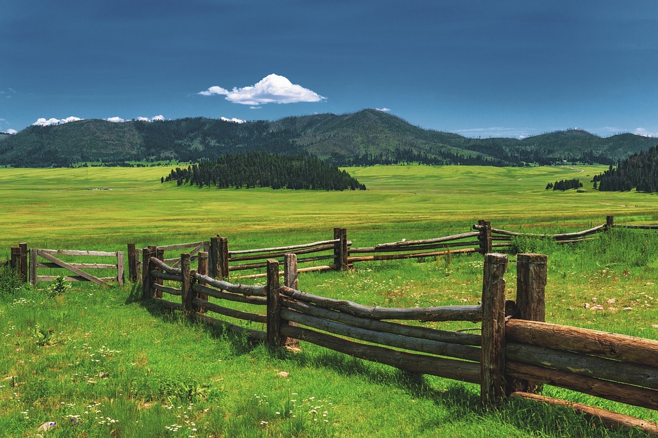 mountain-valley-6676532_960_720.jpg