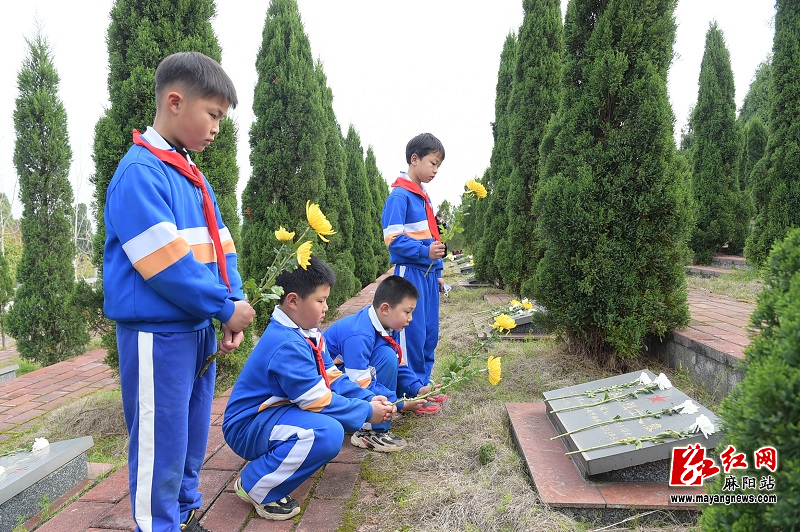 微信图片_20230331151155.jpg
