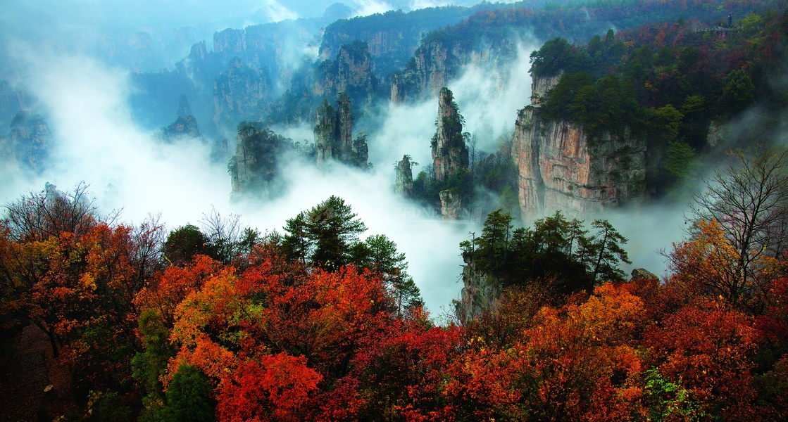 杨素琴2.jpg