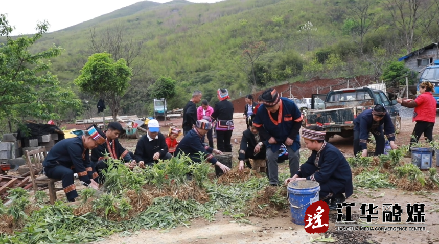 微信截圖_20230403160547.png
