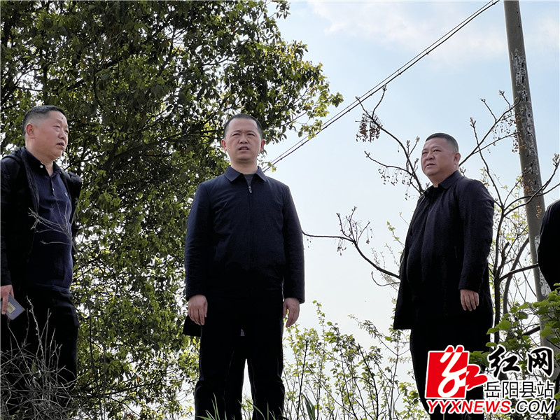 巡河3.jpg