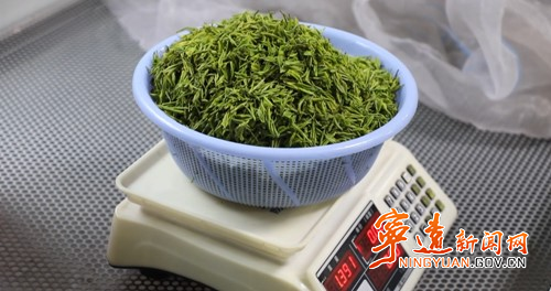 宁远：博士把脉“瑶乡”茶产业  助力产业发展3_副本500.jpg