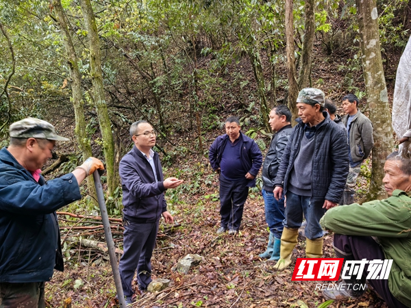 吴领席向村民讲解种植钩藤注意事项.jpg