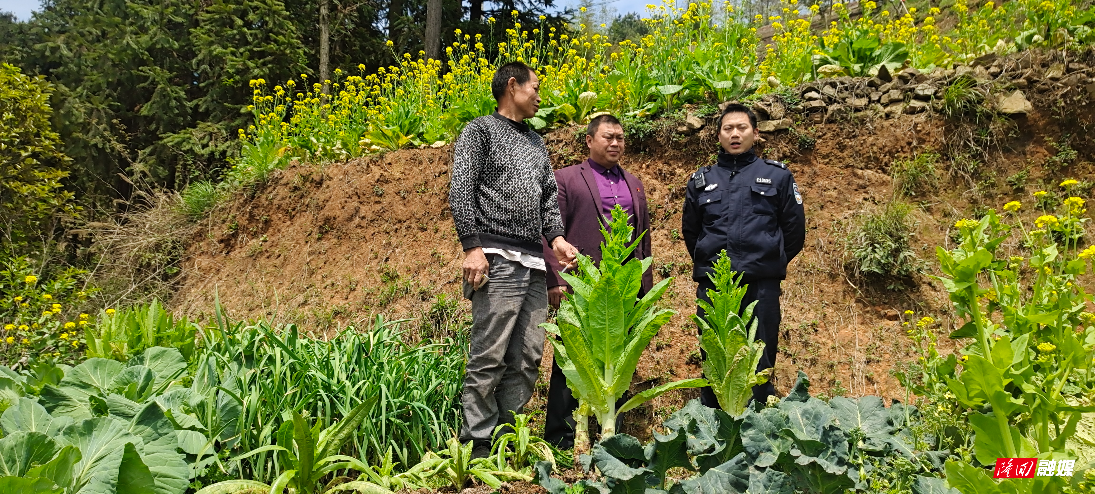 IMG_20230407_115806(1).jpg IMG_20230407_115806(1).jpg