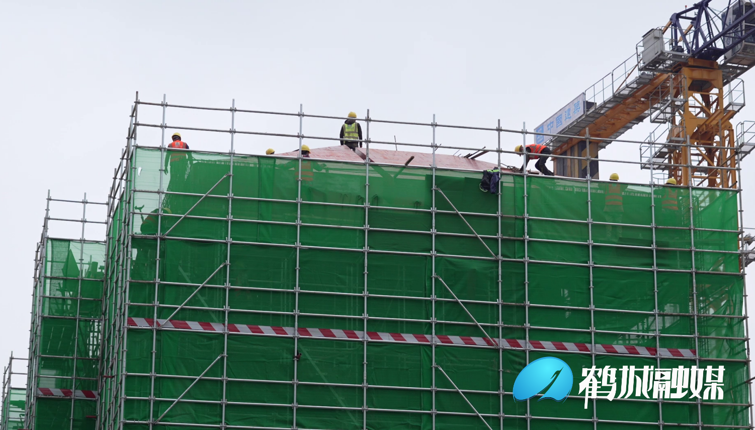 1680858629819.jpg 1680858629819.jpg