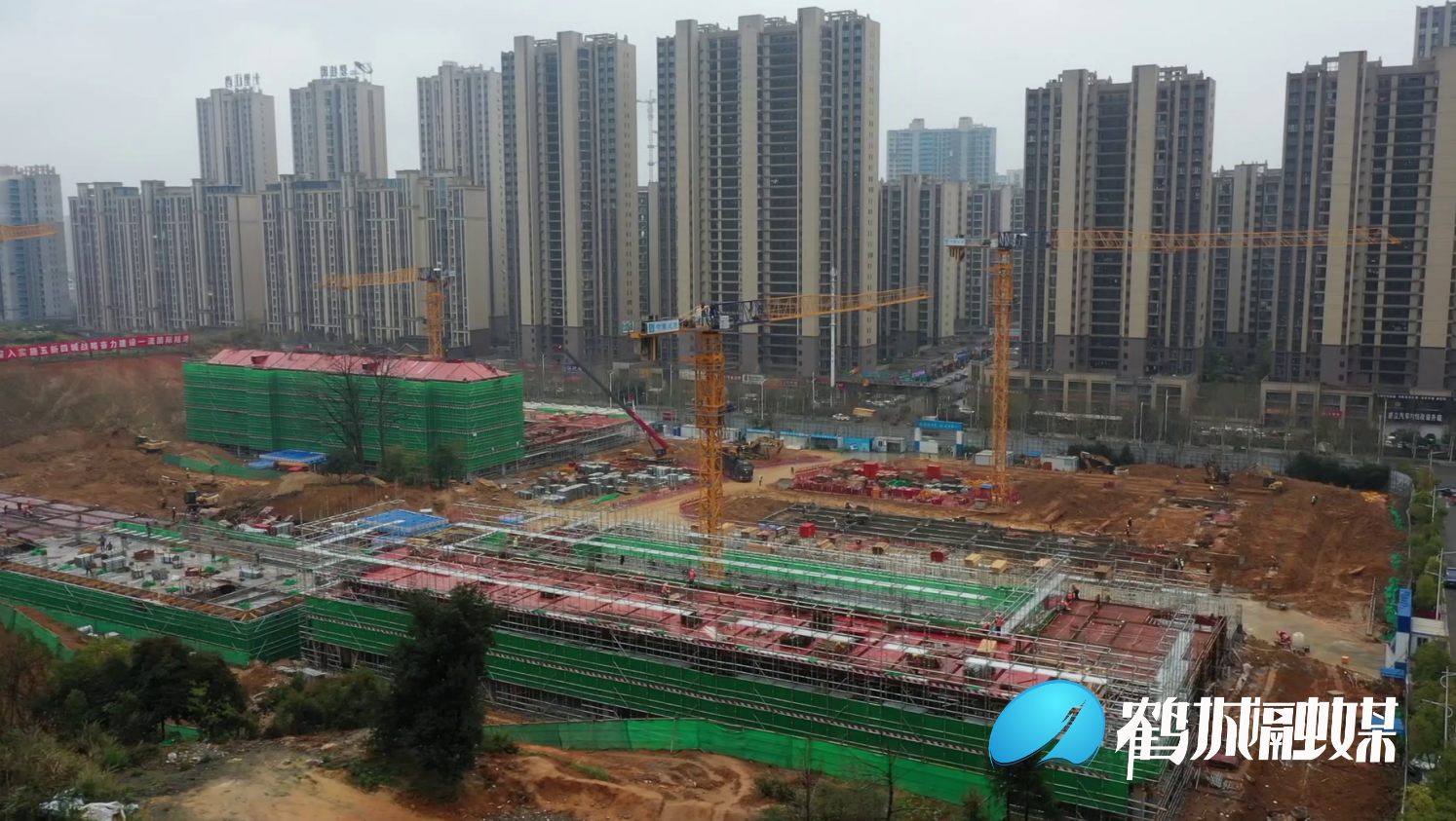 1680858648347.jpg 1680858648347.jpg