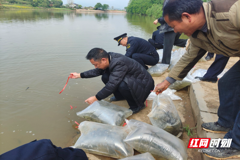 图为被损生态资源修复赔偿放流活动现场3.jpg