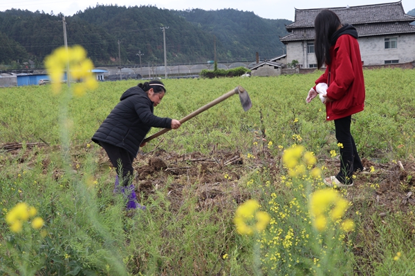 4月7日，万佛山镇杏花村一对母女在播种玉米_副本.jpg