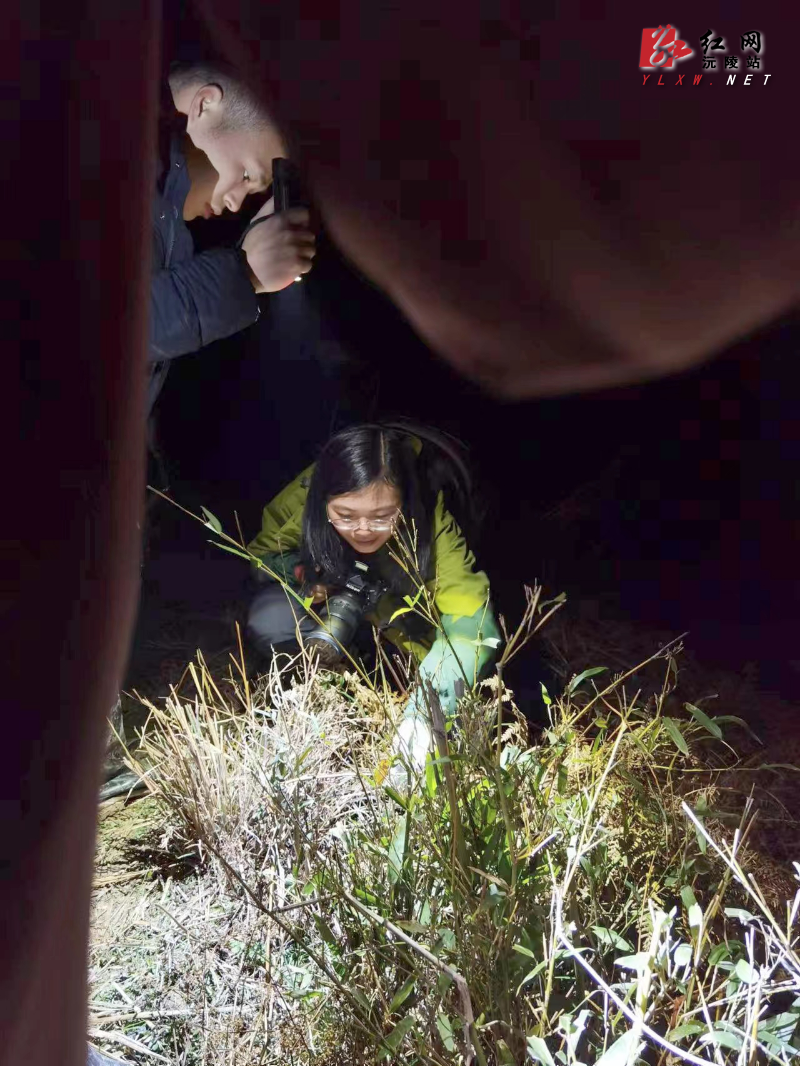 ebe7972f639812f7a64bc89dc703ca7.jpg ebe7972f639812f7a64bc89dc703ca7.jpg