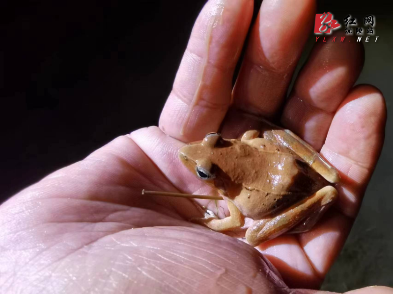 7283da3a7428c23abbcb062ee24fc00.jpg 7283da3a7428c23abbcb062ee24fc00.jpg